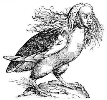 Fées noires & Dames sombres – Harpies