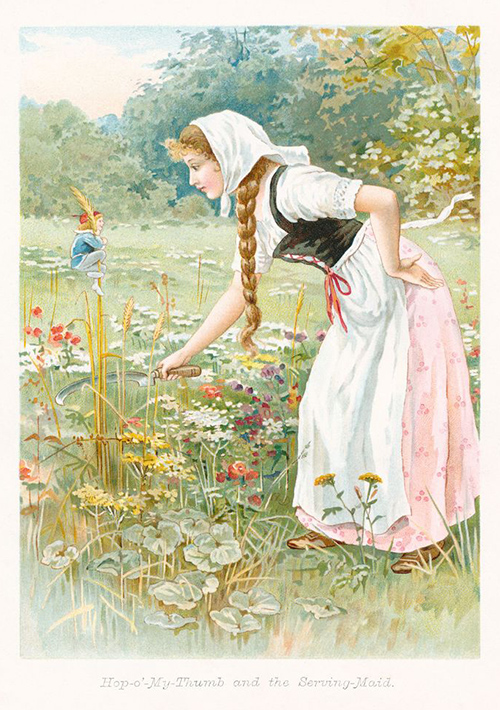 Evelyn Stuart Hardy