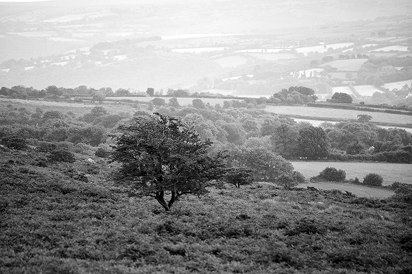 Dartmoor… Paysages et nuits de légendes