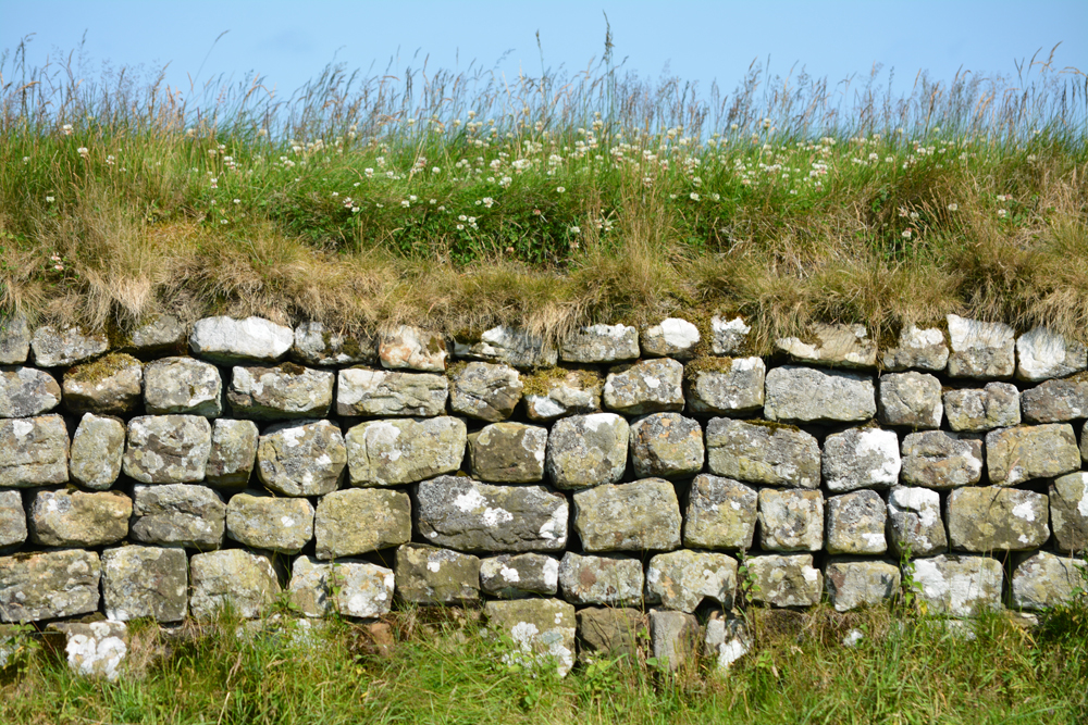 Mur d’Hadrien – Sur les traces de l’Arbre de Robin