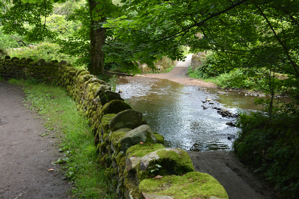 Visite aux fées de Cottingley