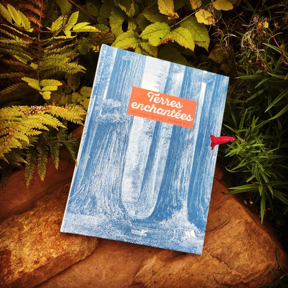 Terres Enchantées – un livre pour voir le paysage avec des yeux de fée !