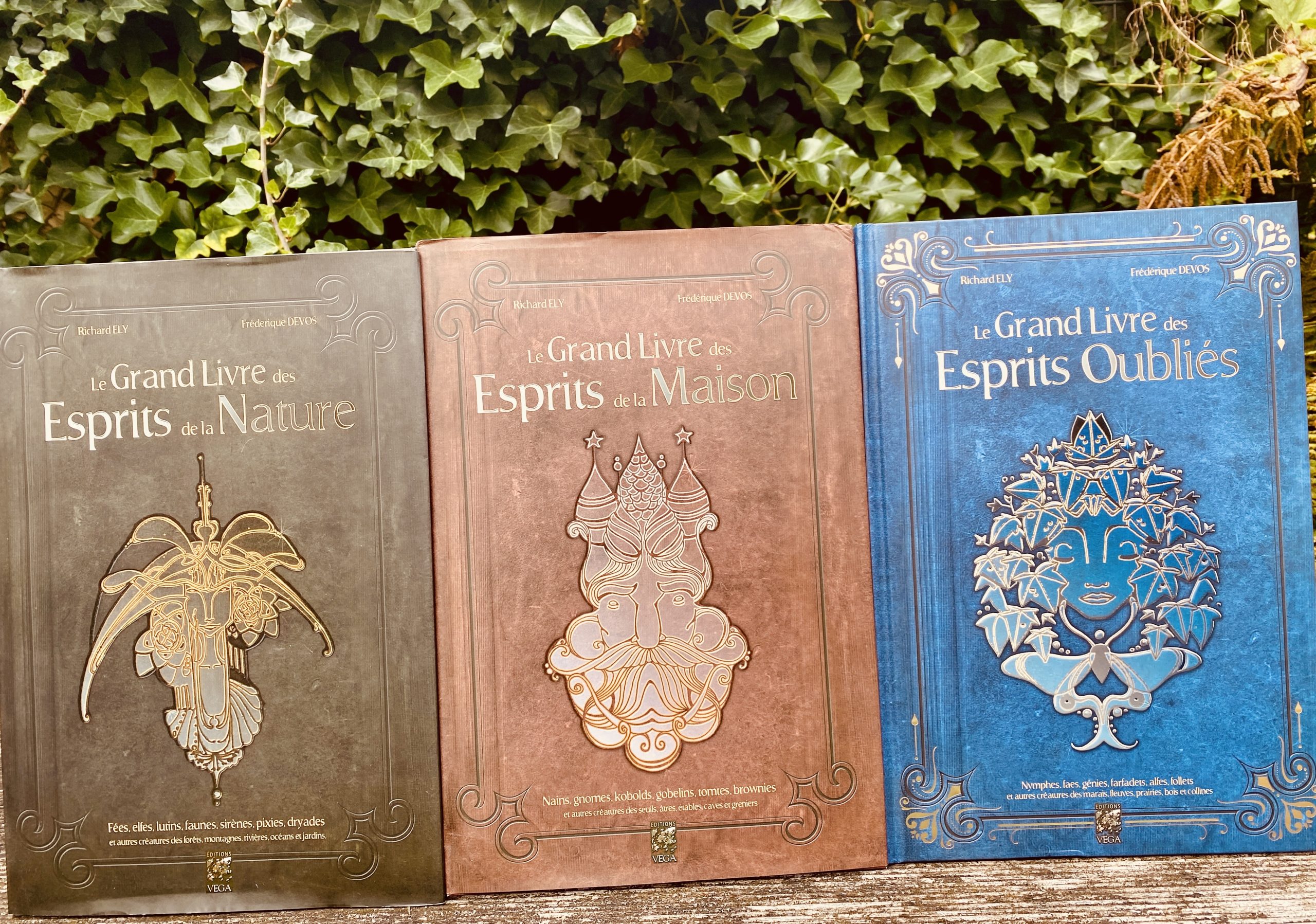 Mon dernier livre sur la féerie en librairie !
