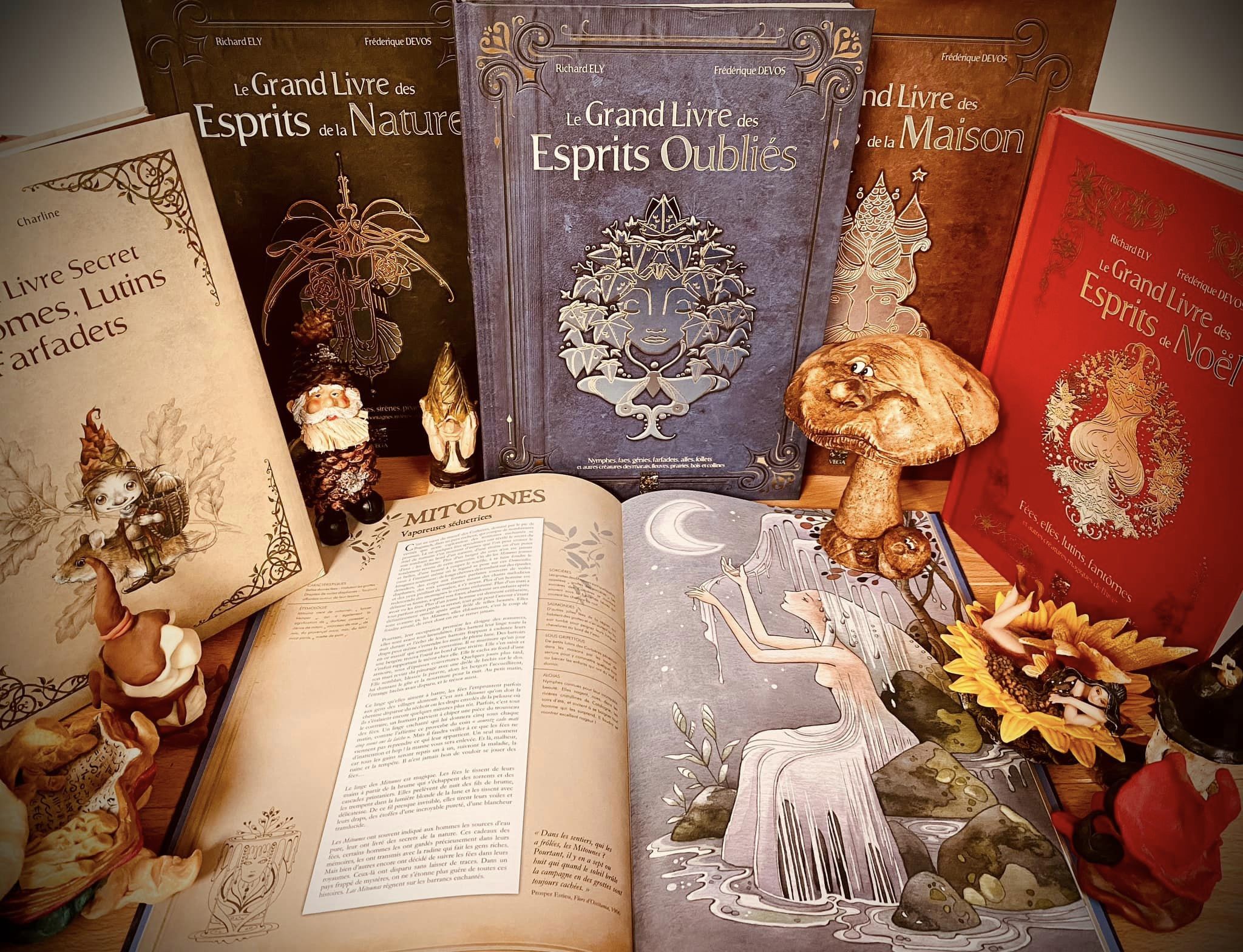 Des livres féeriques pour Noël !